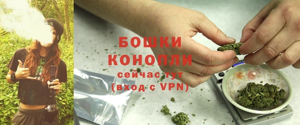 PSILOCYBIN Медногорск