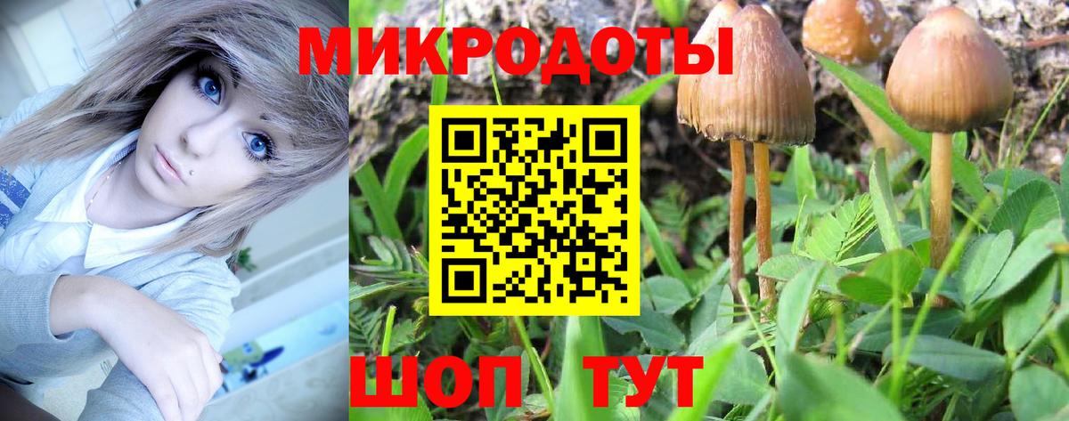 Галлюциногенные грибы Psilocybe  где можно купить   Вход с VPN  Юрга  Псилоцибиновые грибы MAGIC MUSHROOMS 